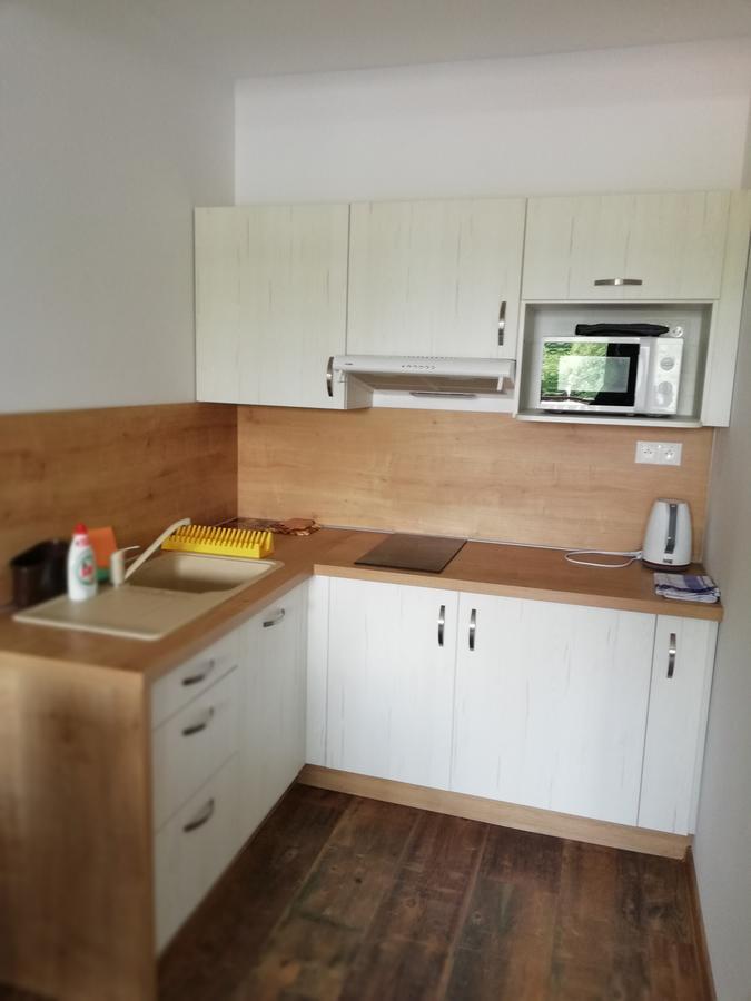 Apartman Skalnicka - Tatranska Lomnica Bagian luar foto